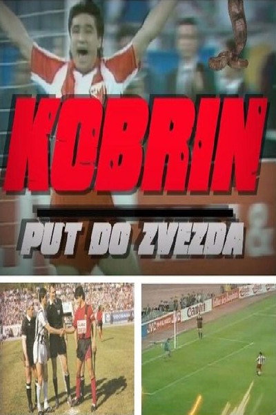 Póster de Kobrin put do zvezda