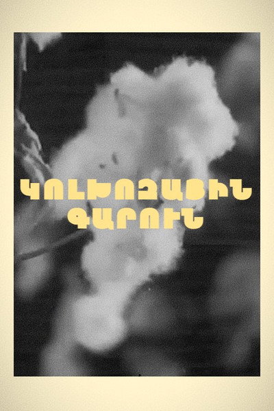 Póster de Kolkhozayin garun
