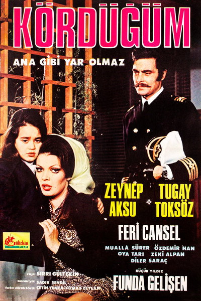 Póster de Kördügüm