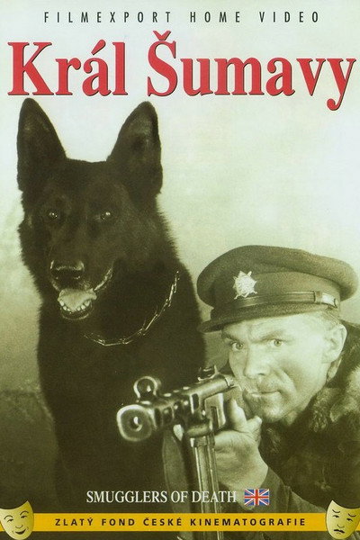 Póster de Král Sumavy