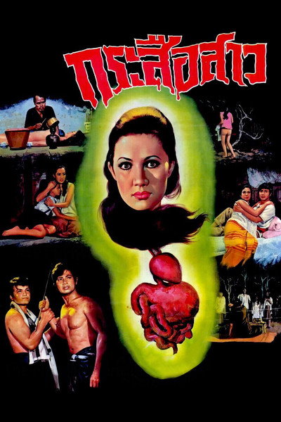 Póster de Krasue Sao