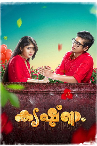 Póster de Krishnam
