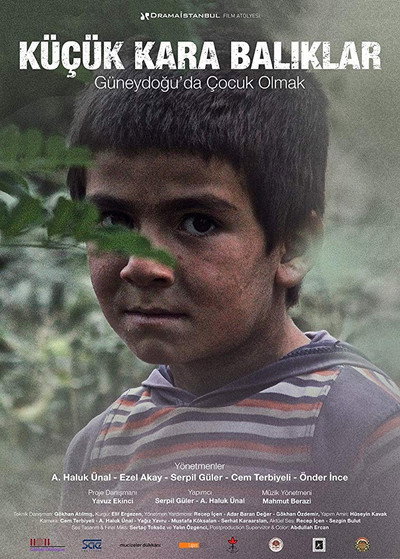 Póster de Küçük Kara Baliklar