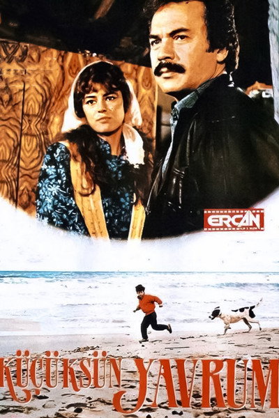 Póster de Küçüksün Yavrum