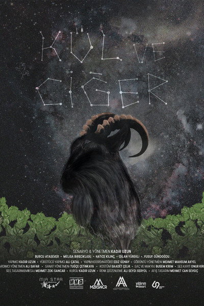 Póster de Kül ve Ciger