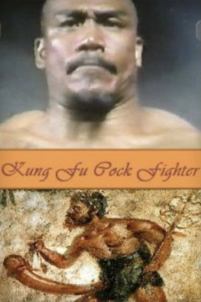 Póster de Kung Fu Cock Fighter