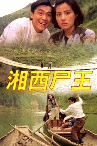 Póster de Kung Fu Vampire