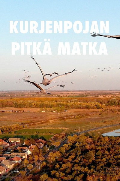 Póster de Kurjenpojan pitkä matka