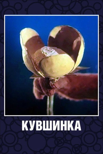 Póster de Kuvshinka