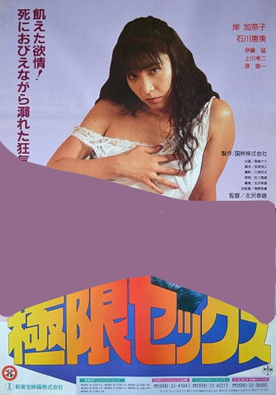 Póster de Kyokugen sex: Meshû