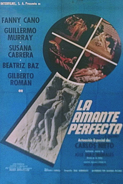Póster de La amante perfecta
