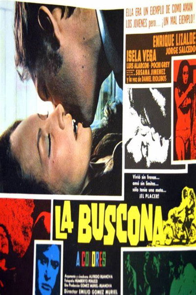 Póster de La buscona