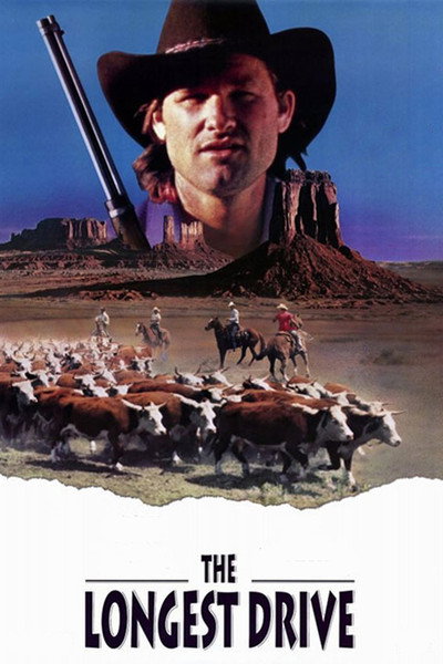 Póster de La búsqueda