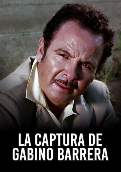 Póster de La captura de Gabino Barrera