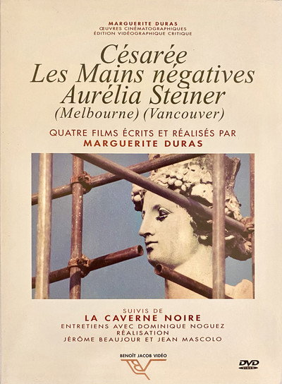 Póster de La Caverne noire