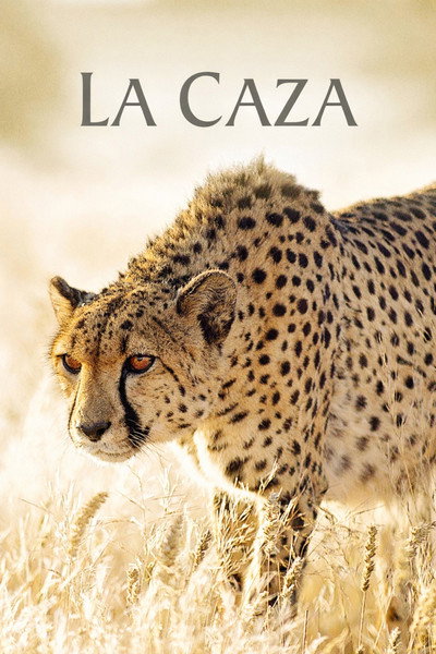 Póster de La caza