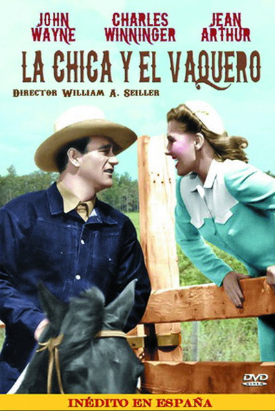 Póster de La chica y el vaquero