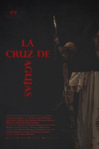 Póster de La cruz de agujas