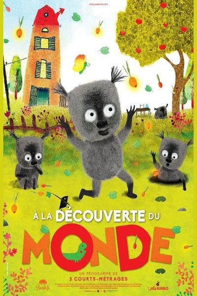 Póster de À la découverte du monde