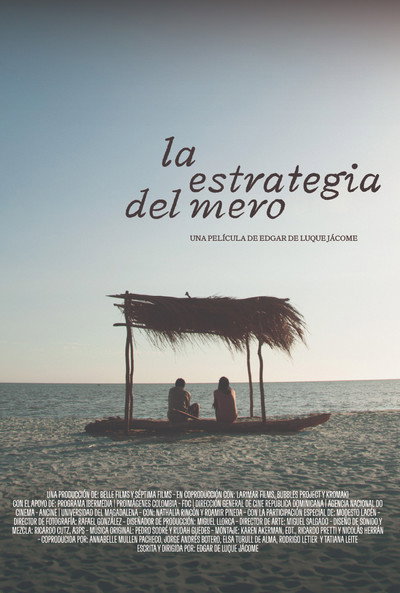 Póster de La estrategia del mero