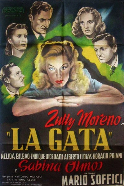 Póster de La gata