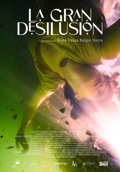 Póster de La Gran Desilusión
