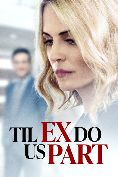 Póster de La intrusa