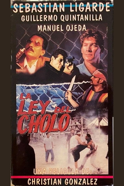 Póster de La ley del cholo