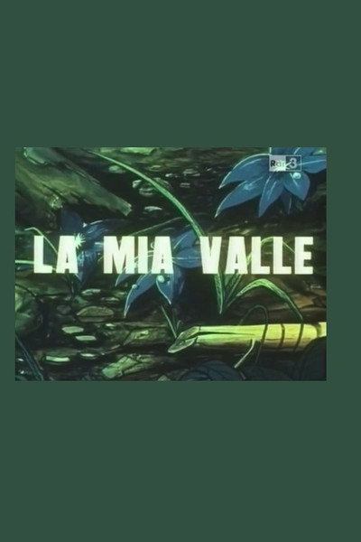 Póster de La mia valle