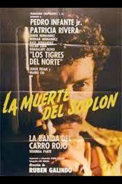 Póster de La muerte del soplon