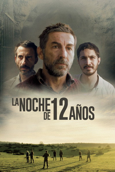 Póster de La noche de 12 años