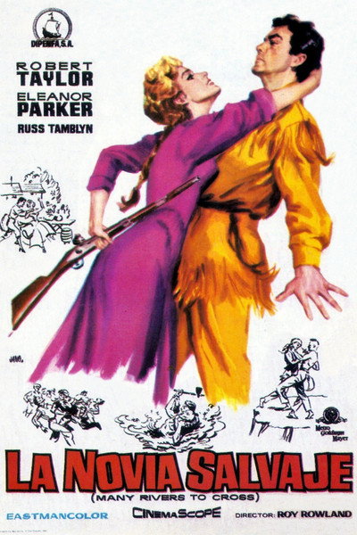 Póster de La novia salvaje