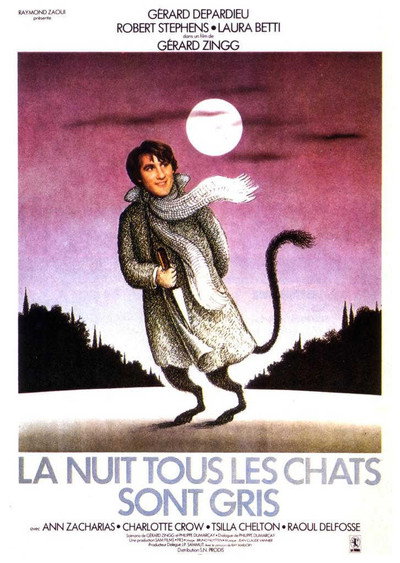 Póster de La nuit, tous les chats sont gris