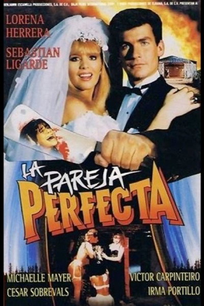 Póster de La pareja perfecta