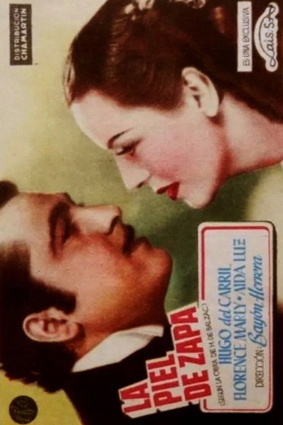 Póster de La piel de zapa
