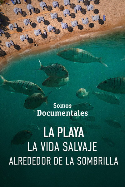Póster de La playa, la vida salvaje alrededor de la sombrilla