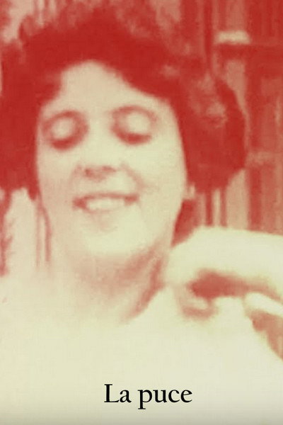 Póster de La puce