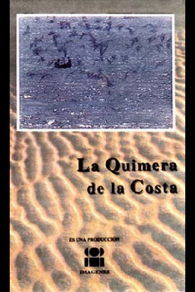 Póster de La quimera de la costa