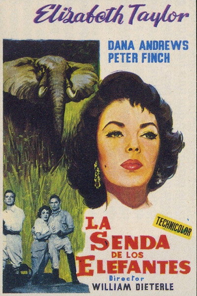 Póster de La senda de los elefantes