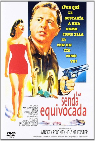 Póster de La senda equivocada