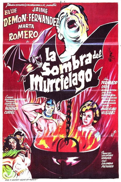 Póster de La sombra del murciélago