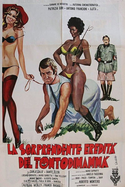 Póster de La sorprendente eredità del tontodimammà