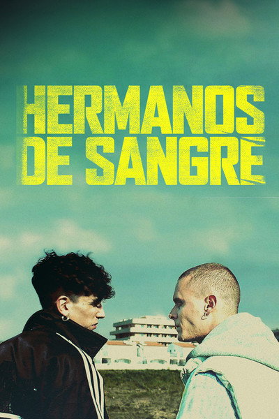 Póster de La terra dell'abbastanza