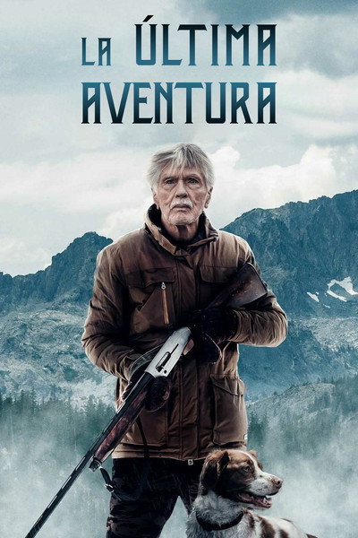 Póster de La última aventura
