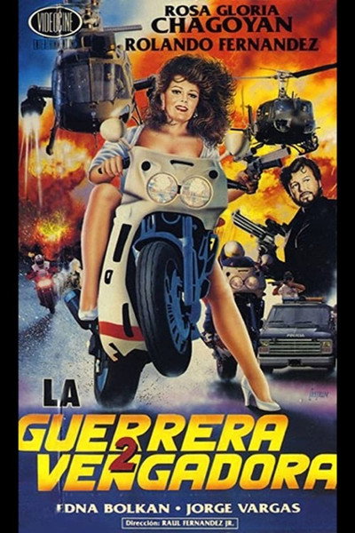 Póster de La vengadora 2