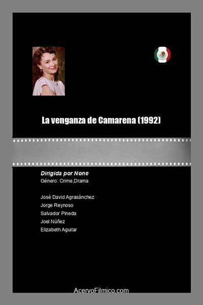 Póster de La venganza de Camarena