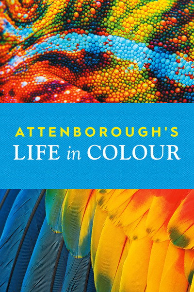Póster de La vida a todo color, con David Attenborough