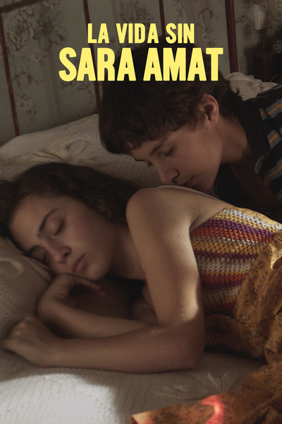 Póster de La vida sin Sara Amat