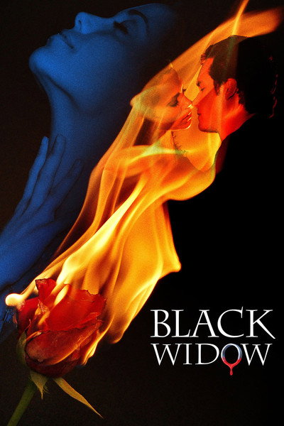 Póster de La viuda negra