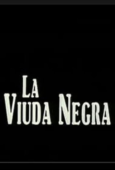 Póster de La viuda negra
